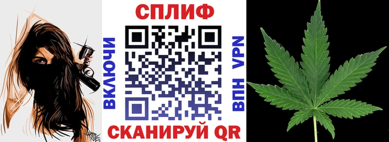 купить закладку  Павловск  Каннабис VHQ 